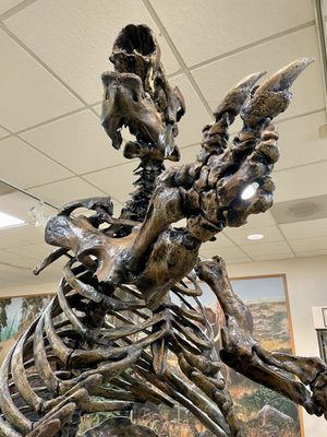 Big Bone Lick State Historic Site by null