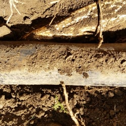 Drain Now Rooter Service