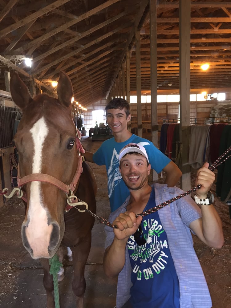 Jeff Geiger Performance Horses - equestrian in Marysville, OH