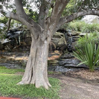 Royal Botanic Gardens - Botanical Gardens Near Me - Sydney, NSW Royal Botanic Gardens - Botanical Gardens Near Me - Sydney, NSW