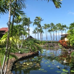 Reiki Oasis - Reiki Oasis LLC