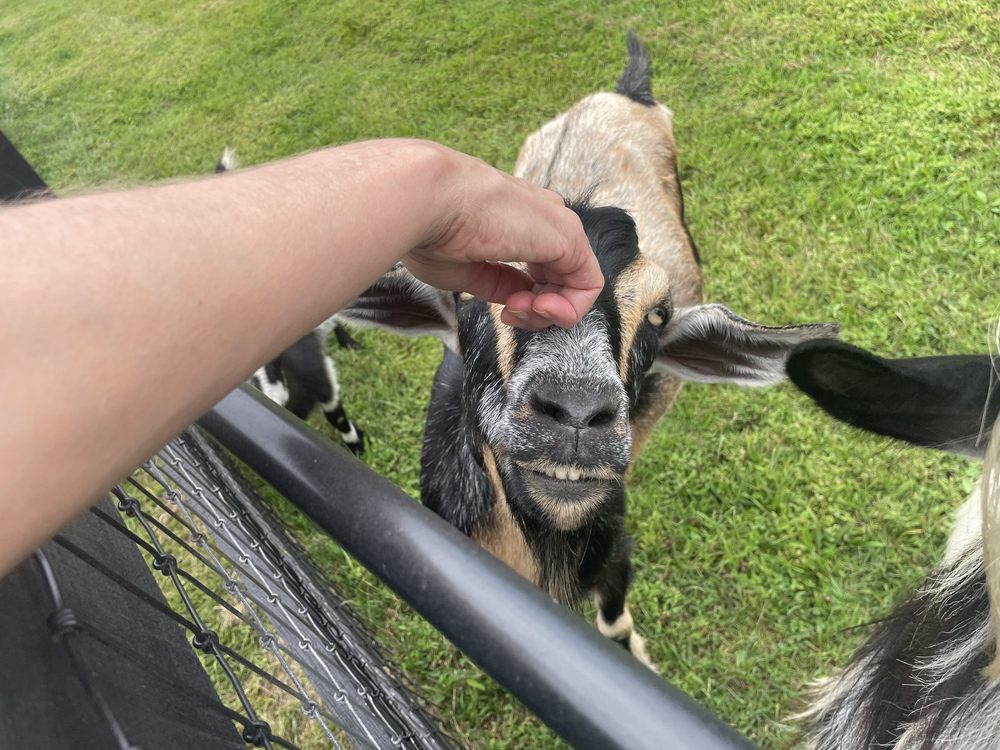 Sunny Dreams Farm - beekeeping in Bel Air, MD