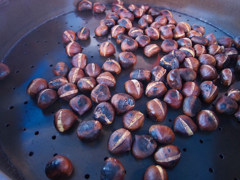 Roasted Chestnuts Logo