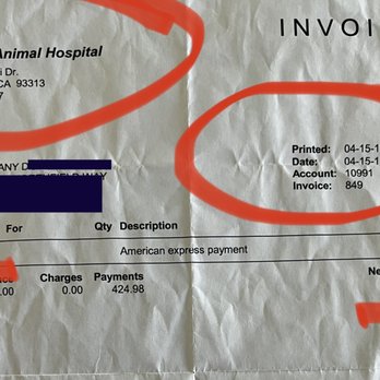 4 Paws Pet Hospital - PROOF I'M NOT A LIAR SINCE "MANAGER" HALLE SADLY CLAIMED I WAS.  STAY AWAY FROM HER AND THIS PLACE. - Veterinarians Near Me - Bakersfield, California