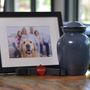 West Coast Pet Memorial