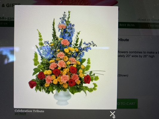Jacobsen's Flowers by null