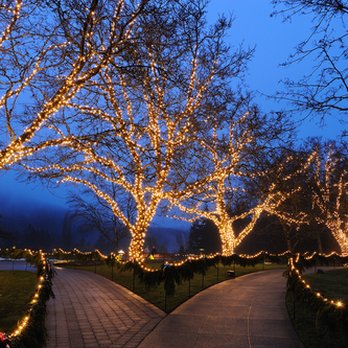 The Christmas Light Pros