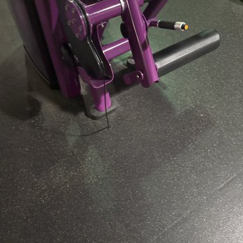 Planet Fitness - Animals - Gyms Near Me - Newark, Delaware Planet Fitness - Animals - Gyms Near Me - Newark, Delaware