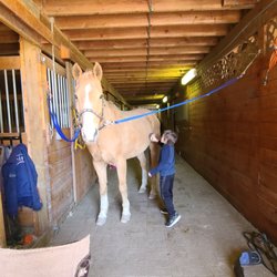 Applejack Stables
