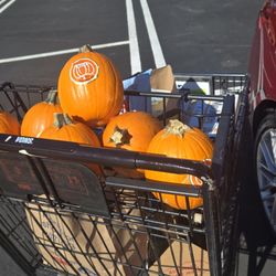 Vons - 95° and I'm gonna bake pumpkins