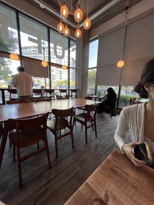 Snow Bunny Coffee by null