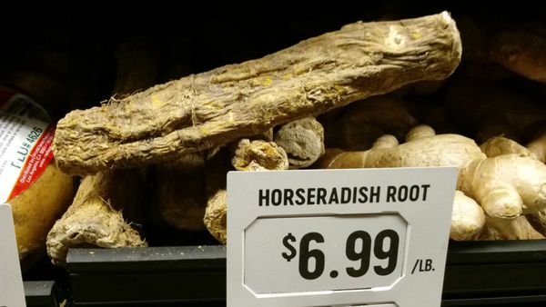 The Fresh Market by null