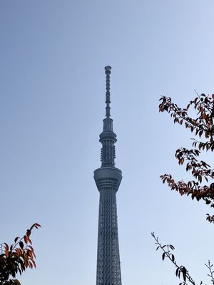Tokyo Skytree by null