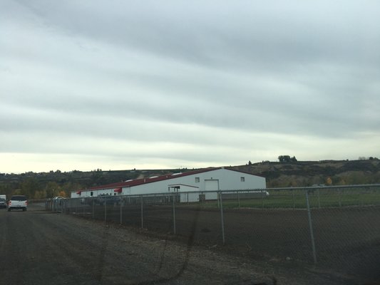 Pegasus Project by null