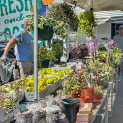 North Tonawanda Farmers Market