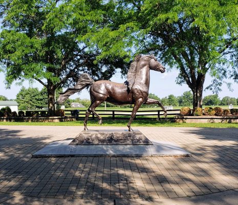 Kentucky Horse Park by null