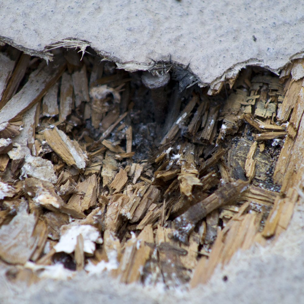 Professional Community Management - Close up of the water damaged wood (part of the roof of the homeowner below), complete with exposed, rusty n - Property Management Near Me - Lake Forest, California