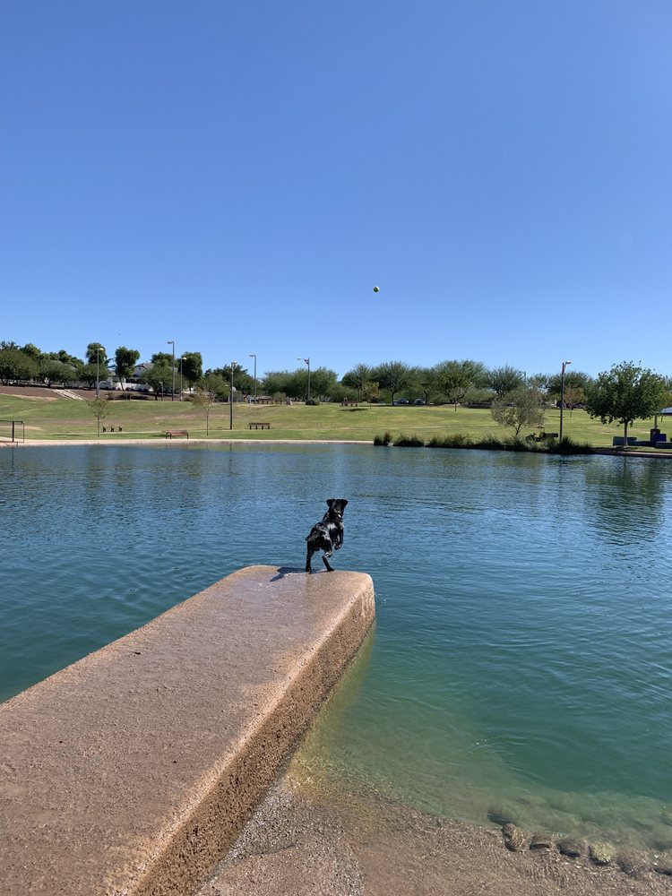 COSMO DOG PARK 109 Photos & 66 Reviews Dog Parks 2502 E Ray Rd