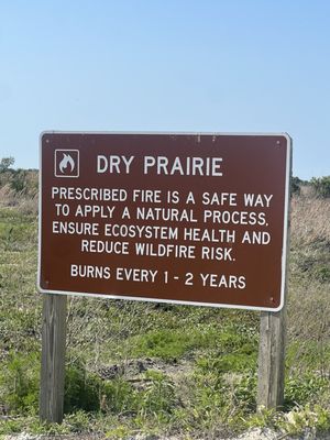 Kissimmee Prairie Preserve State Park by null