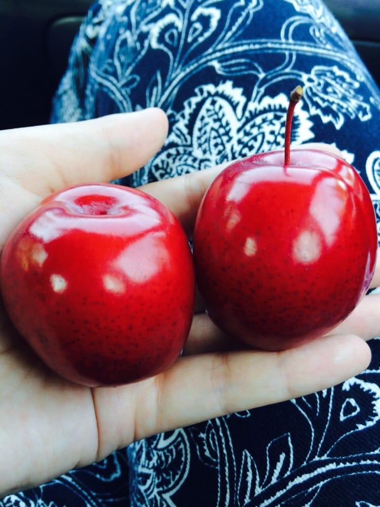 EK 76 STATION Updated April 2024 116 128th St SE, Everett