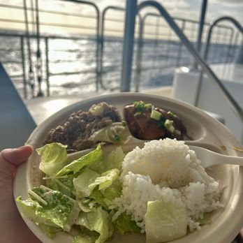 Blue Dolphin Charters - Boating Near Me - Eleele, Hawaii