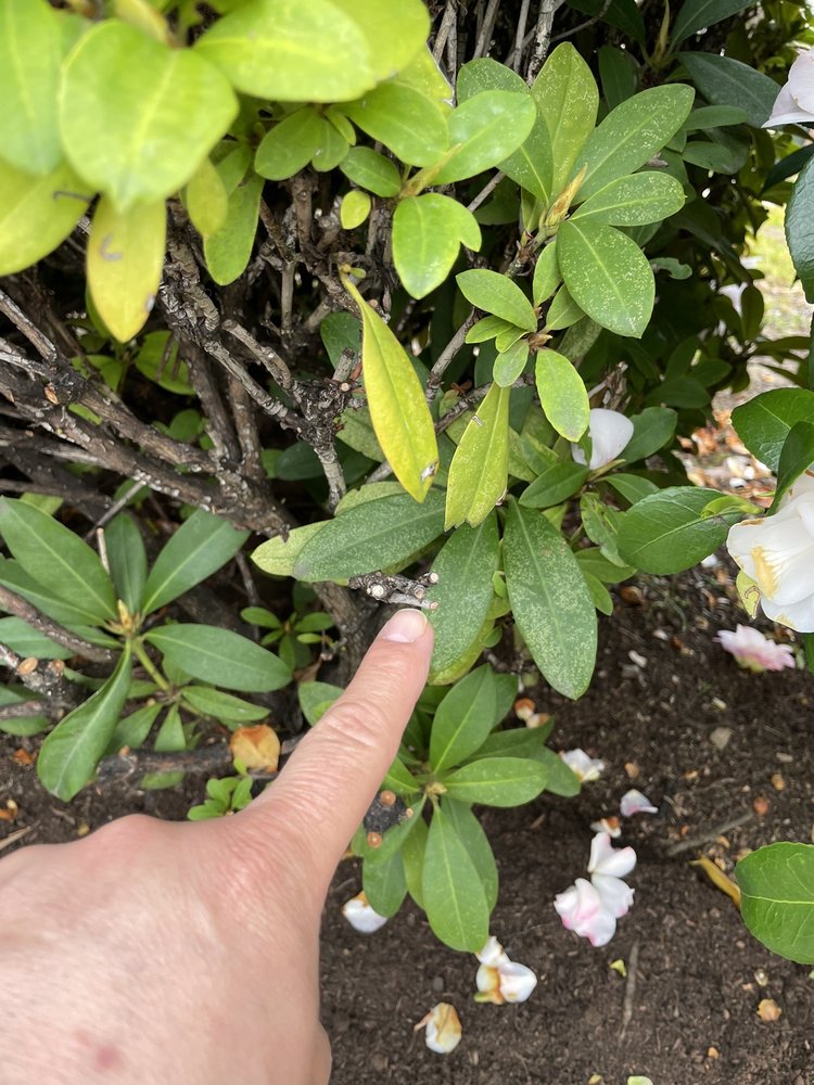 Slide of Northwest Backflow Inspection and Testing Services