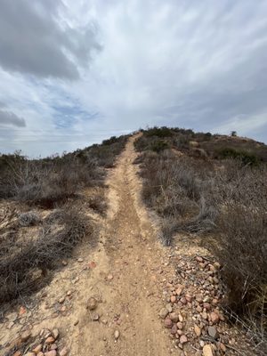 Los Penasquitos Canyon County Preserve by null