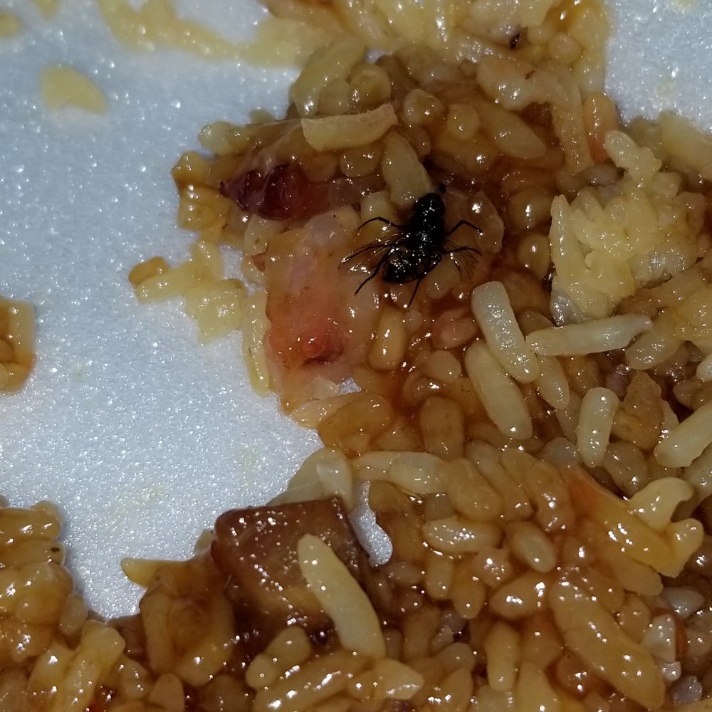 Ming's Garden - a plate of rice and beans - Chinese Near Me - Rensselaer, New York