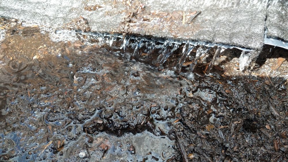 US Landscape design And Restorations - tree service in San Francisco, CA