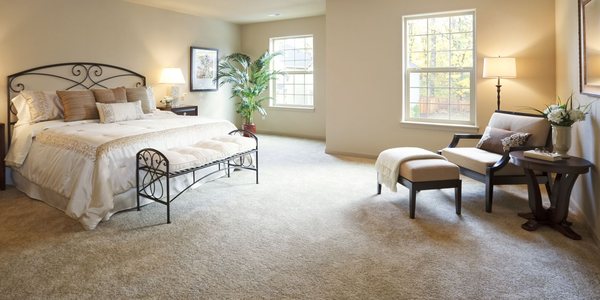 Carpet Installation - For this project, we completed a full carpet installation in the bedroom and living room, giving the space a fresh and cohesive look. The goal was to enhance warmth, reduce noise, and create an inviting feel throughout the home.
We carefully prepped the subfloor, ensured precise measurements, and installed the carpet with tight seams for a flawless finish. Our customer was extremely satisfied with our ability to be efficient and was able to enjoy their space the very next day.
If you’re thinking about upgrading your bedroom, living room, or entire home with new carpet, this is a perfect example of the quality and care we bring to every project. Call today for a free estimate and let’s bring new life to your floors. Carpet Installation - For this project, we completed a full carpet installation in the bedroom and living room, giving the space a fresh and cohesive look. The goal was to enhance warmth, reduce noise, and create an inviting feel throughout the home.
We carefully prepped the subfloor, ensured precise measurements, and installed the carpet with tight seams for a flawless finish. Our customer was extremely satisfied with our ability to be efficient and was able to enjoy their space the very next day.
If you’re thinking about upgrading your bedroom, living room, or entire home with new carpet, this is a perfect example of the quality and care we bring to every project. Call today for a free estimate and let’s bring new life to your floors.