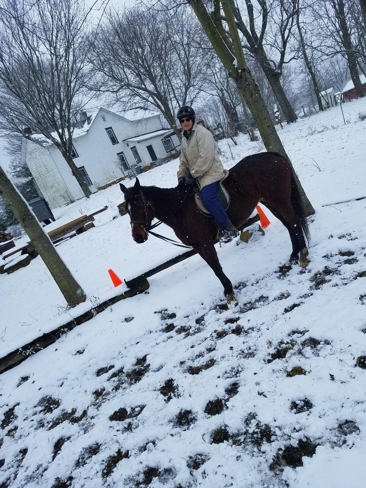 Tenbrooks Farm - Airbnbs & Horse Riding Lessons - equestrian in Frazeysburg, OH