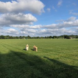 Cross Farm Park