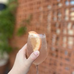 Coral Club - Rosé Paloma