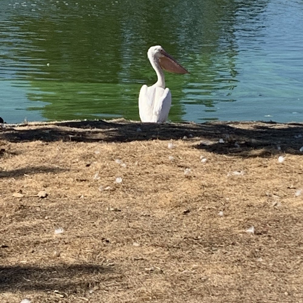 Wilderness Park - Parks Near Me - Downey, California Wilderness Park - Parks Near Me - Downey, California