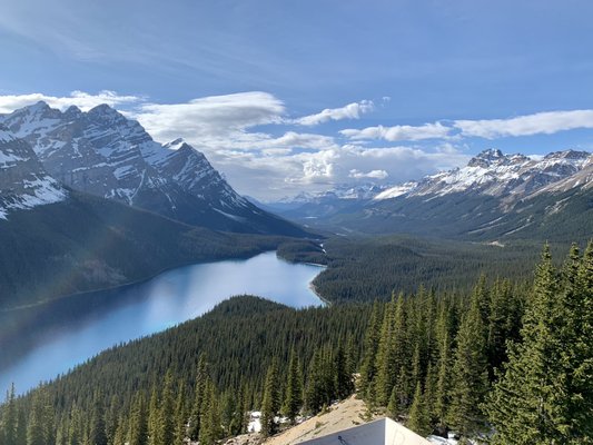 Peyto Lake by null