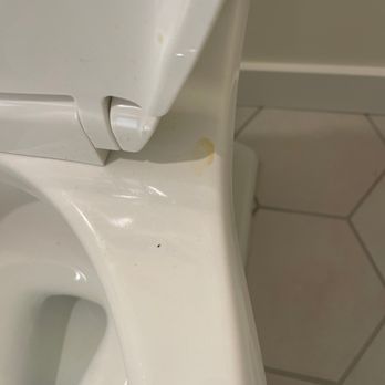 Holtzman Remodeling - Urine on toilet - General Contractors Near Me - Tempe, Arizona