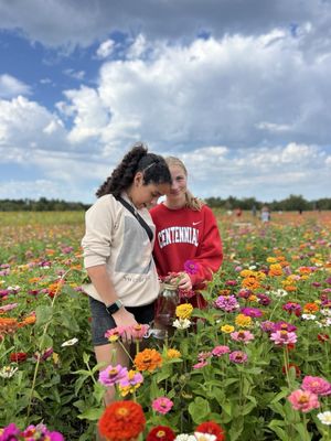 Pinehaven Farm by null