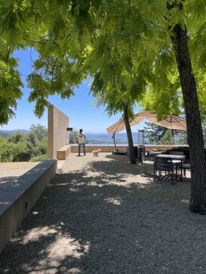 CADE Estate Winery by null