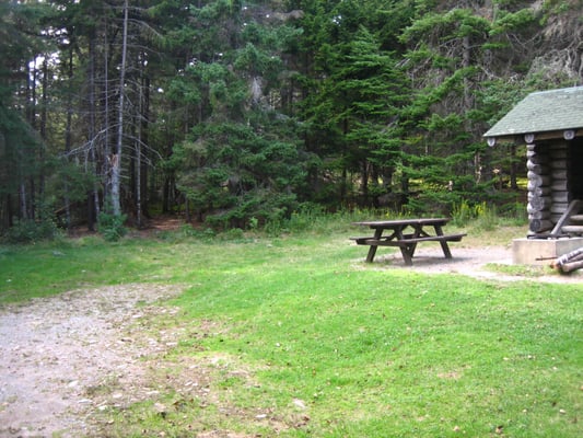Cobscook Bay State Park by null