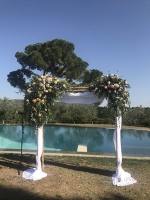 Fattoria la Loggia by null