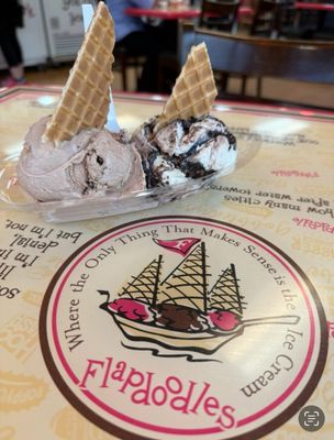 Flapdoodles Ice Cream by null