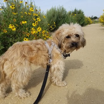 A Home 4 Ever Rescue - What's better than the Back Bay! - Animal Shelters Near Me A Home 4 Ever Rescue - What's better than the Back Bay! - Animal Shelters Near Me