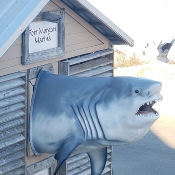 Tacky Jack's 2 - Funky fun - Bars Near Me - Gulf Shores, Alabama Tacky Jack's 2 - Funky fun - Bars Near Me - Gulf Shores, Alabama