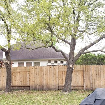 Lonestar Arbor Systems - After - Tree Services Near Me - Houston, Texas Lonestar Arbor Systems - After - Tree Services Near Me - Houston, Texas