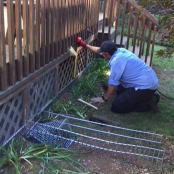 Western Pest Services - Pest Control Near Me - Randolph, New Jersey Western Pest Services - Pest Control Near Me - Randolph, New Jersey