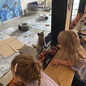 Cat & Craft - Coffee & Tea Near Me - Vista, California Cat & Craft - Coffee & Tea Near Me - Vista, California
