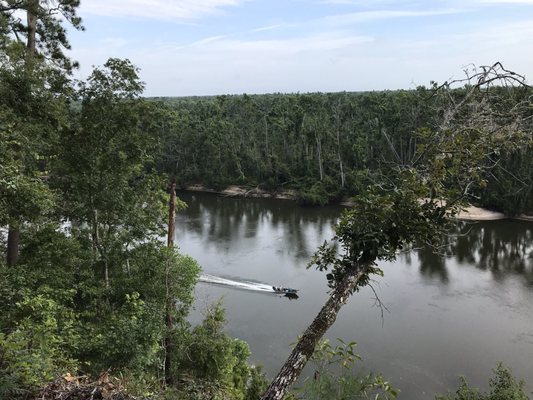 The Nature Conservancy Apalachicola Bluffs and Ravines Preserve (Garden of Eden trail) by null
