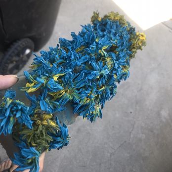 Glendora Florist - Florists Near Me - Glendora, California