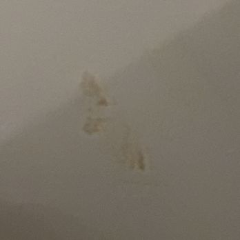 Kusshi - dirty. Nasty. Scumbag. Filthy wall. - Sushi Bars Near Me - Arlington, Virginia