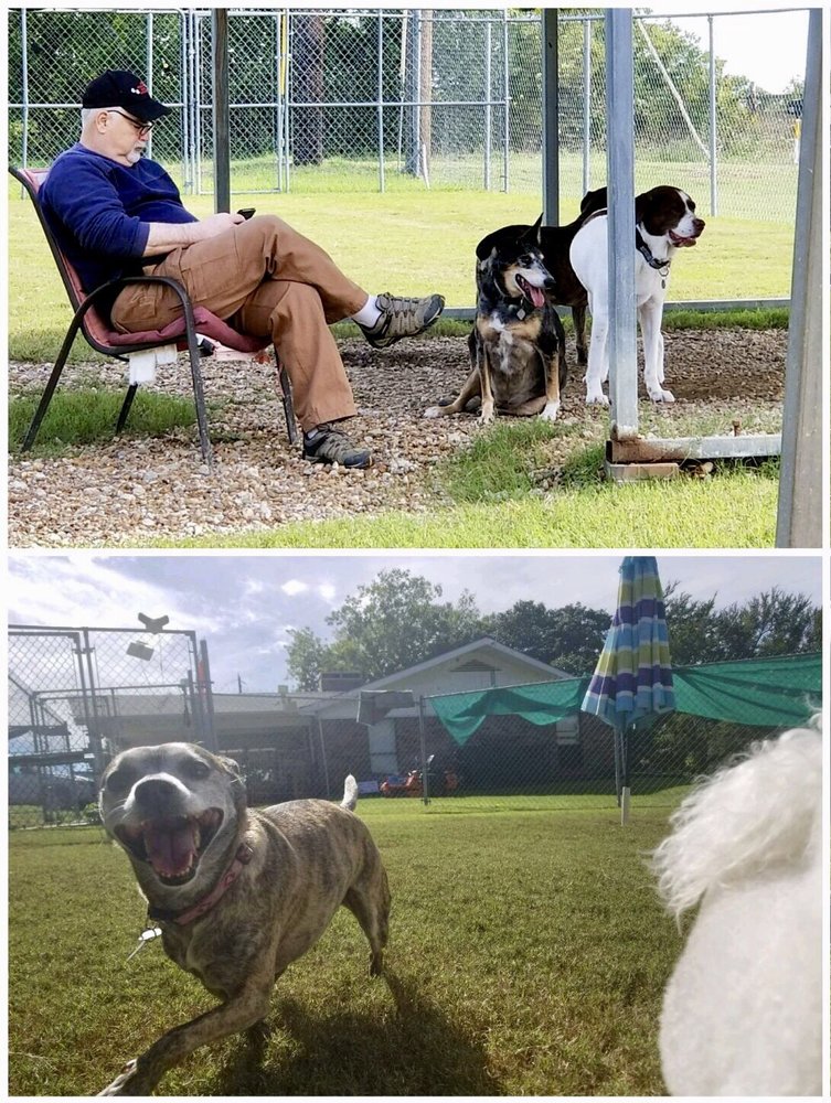 THE FOUR PAWS RESORT 31 Photos & 14 Reviews Pet Sitting 3545 Fm 2933, McKinney, TX Phone